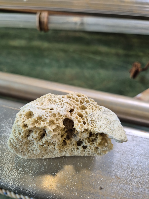 c05414addeaead08e1009799ae54b184_1761810442_9557.jpg c05414addeaead08e1009799ae54b184_1761810442_9557.jpg